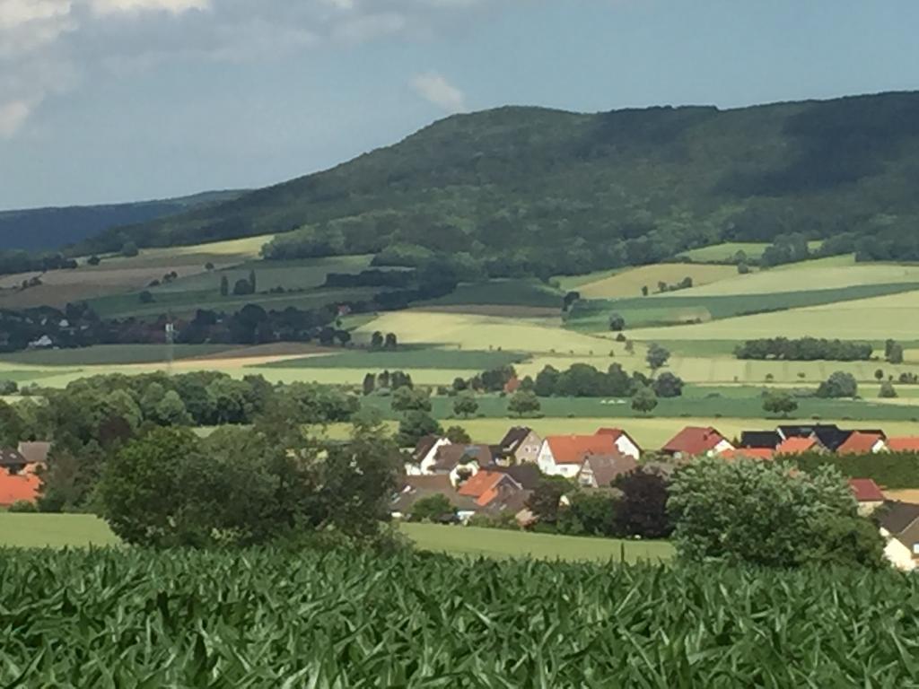 Gaestehaus White Horse Diedersen Coppenbrügge Esterno foto
